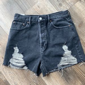 Brand New (w/o tags) PacSun Denim Shorts - Ultra High Rise